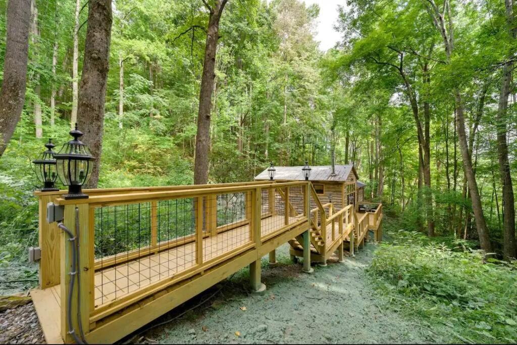 Outdoor Enthusiast'S Dream Cabin Hiking & Rafting Hot Springs 外观 照片